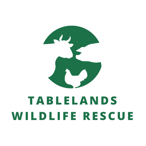 Tablelands Wildlife Rescue Inc